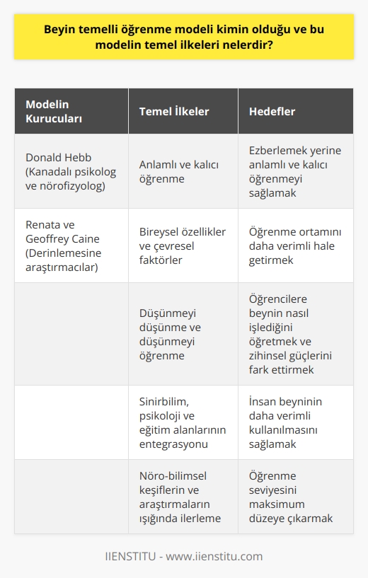 Beyin Temelli Öğrenmenin Dayandığı Kuramlar [Uzman Rehber] - Kapak Görseli