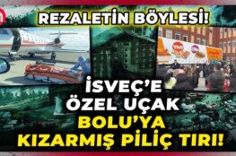 Kızarmış Piliç Tırı Olayının Perde Arkası [2026 Rehberi] - Kapak Görseli